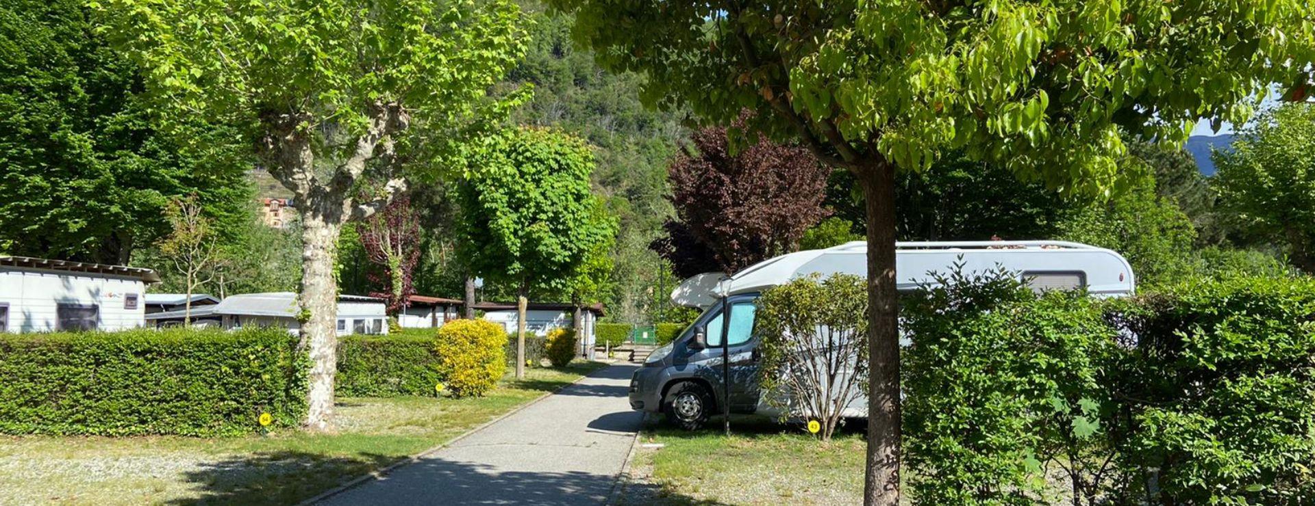 Campeggio con camper parcheggiati tra alberi e siepi in una giornata soleggiata.