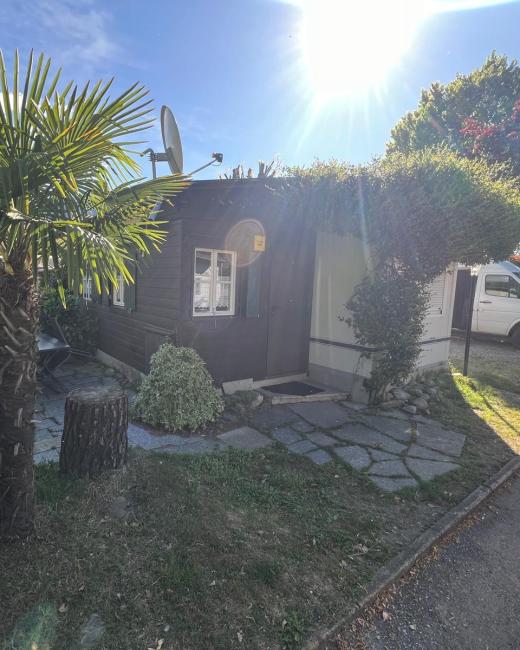 Piccola casa in legno con giardino, palme e vialetto pavimentato.