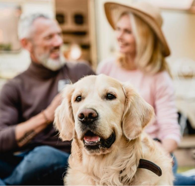 Un cane felice con due persone sorridenti sullo sfondo in un ambiente all'aperto.